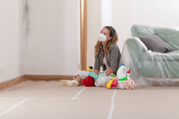 Reliable Basement Mold Remediation contractor in Barton, MD by 24 Hour Mold Removal